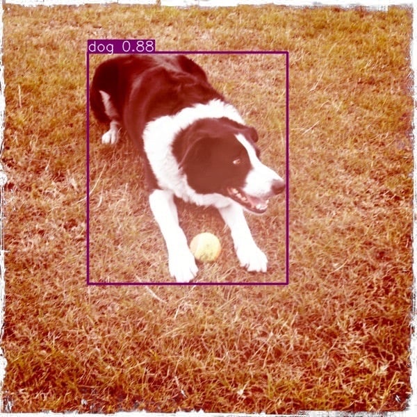 Object detection with Ultralytics YOLO26 on Raspberry Pi - Raspberry Pi Blog