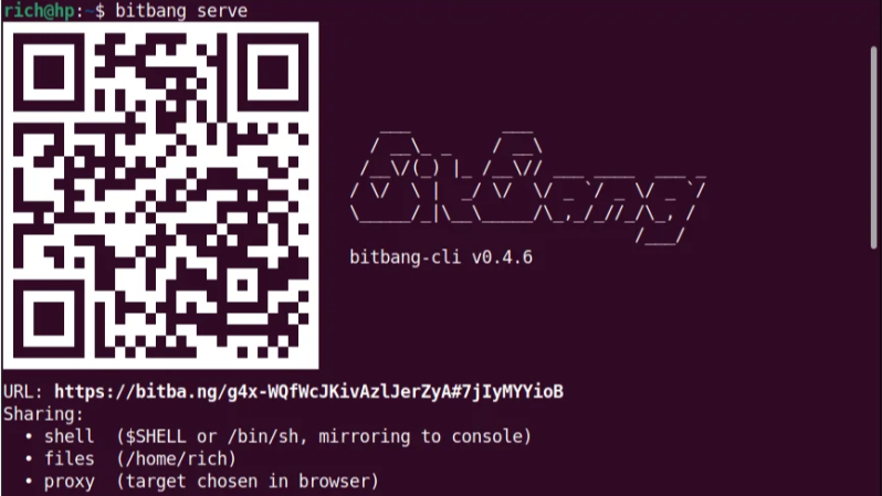 Get a Remote Terminal With One Binary, One URL, and Zero Config - Hackaday